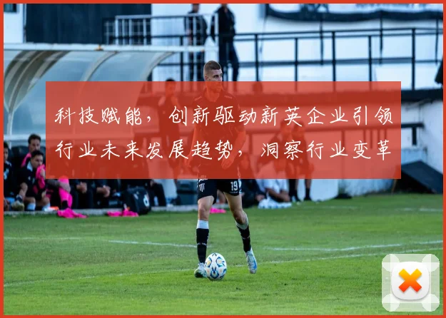 科技赋能，创新驱动新英企业引领行业未来发展趋势，洞察行业变革新风向