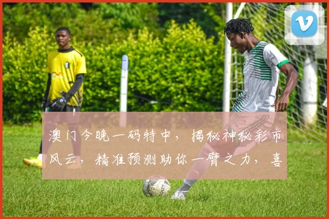 澳门今晚一码特中，揭秘神秘彩市风云，精准预测助你一臂之力，喜中大奖不是梦